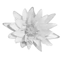 Kokokhan logo-100