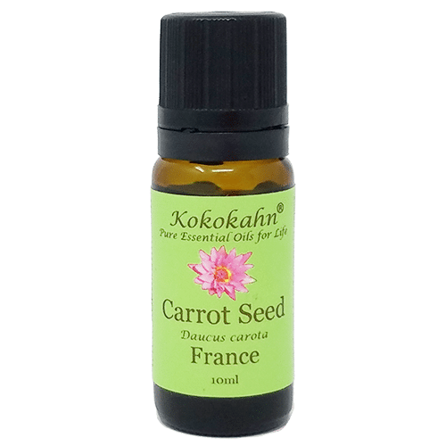 5 Benefits of Carrot Oil Kokokahn Essential Oils